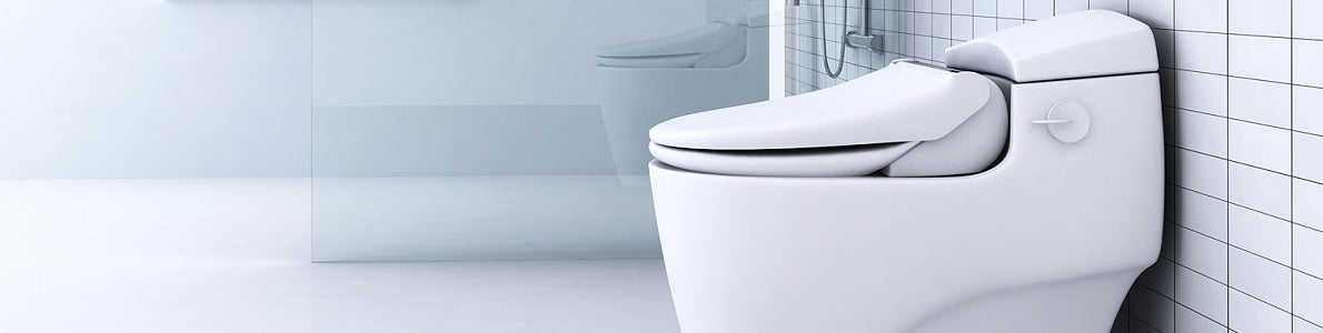 bidet toilet combo